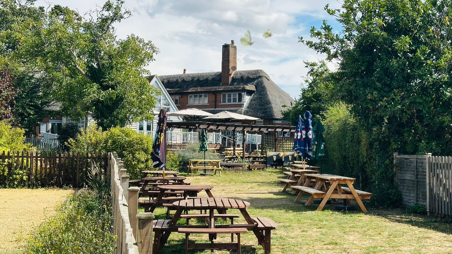 The Ultimate Dog-Friendly Dining Experience at Old Crown Girton
